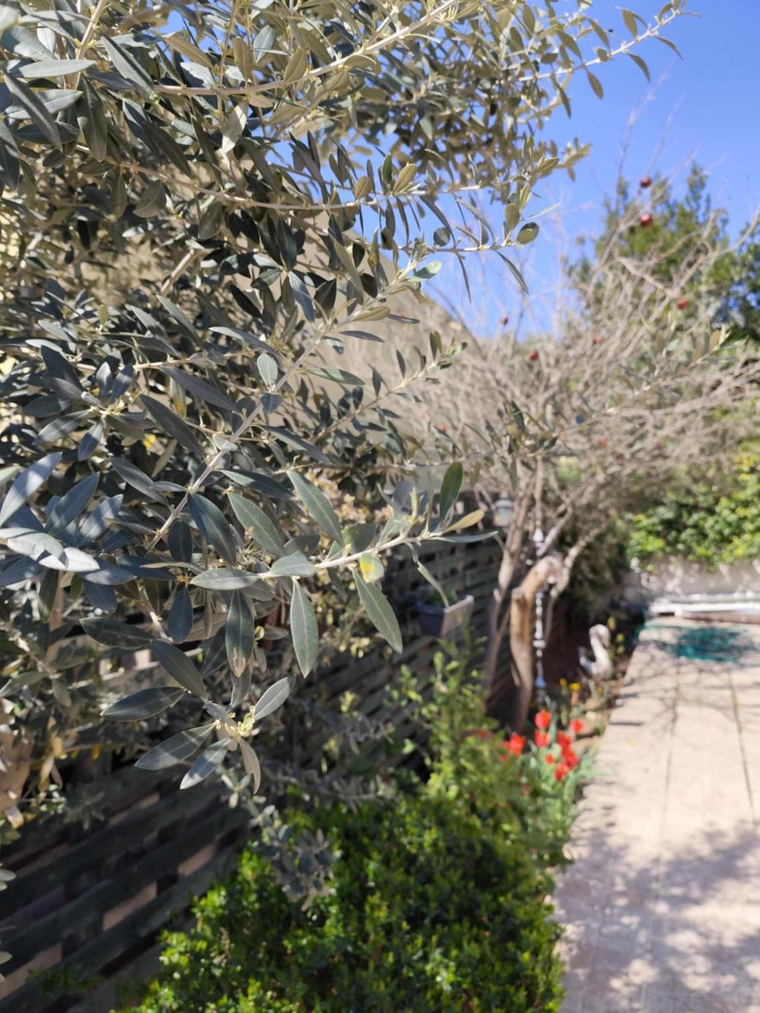 Mary'S Cozy Apartment Alexandroupoli Exterior foto